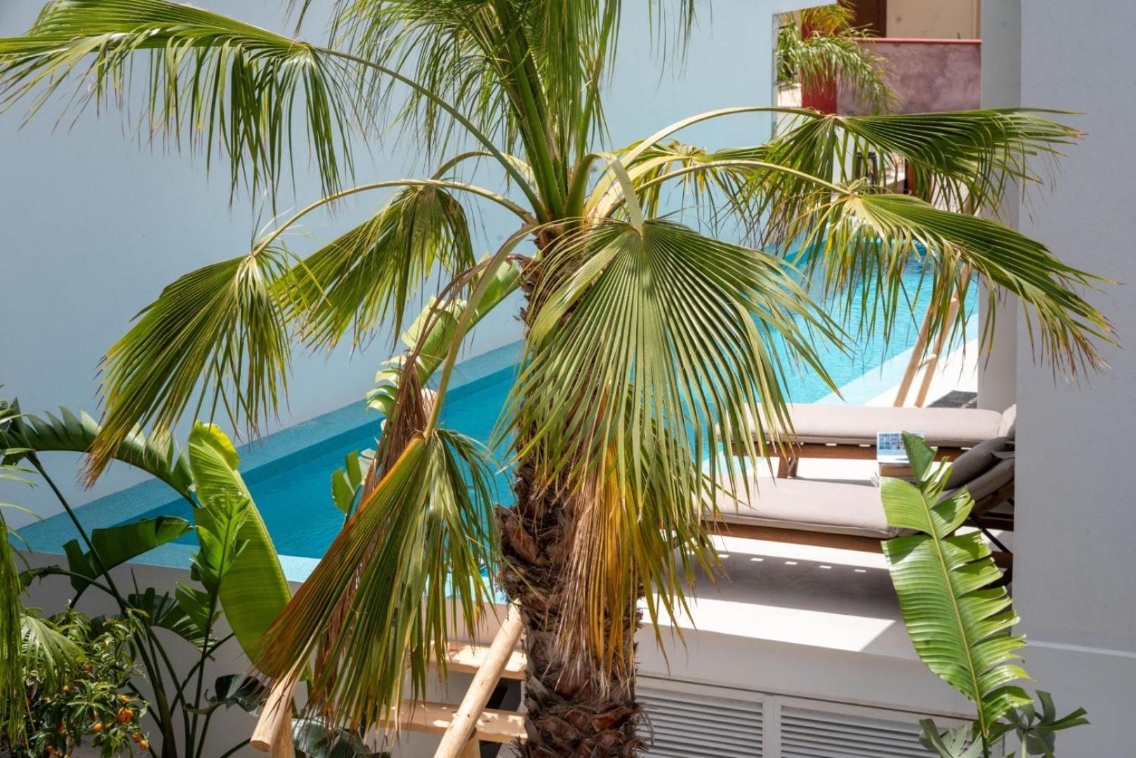 D Palm Premium Living - Kalathas, Chania Chania  Exterior foto